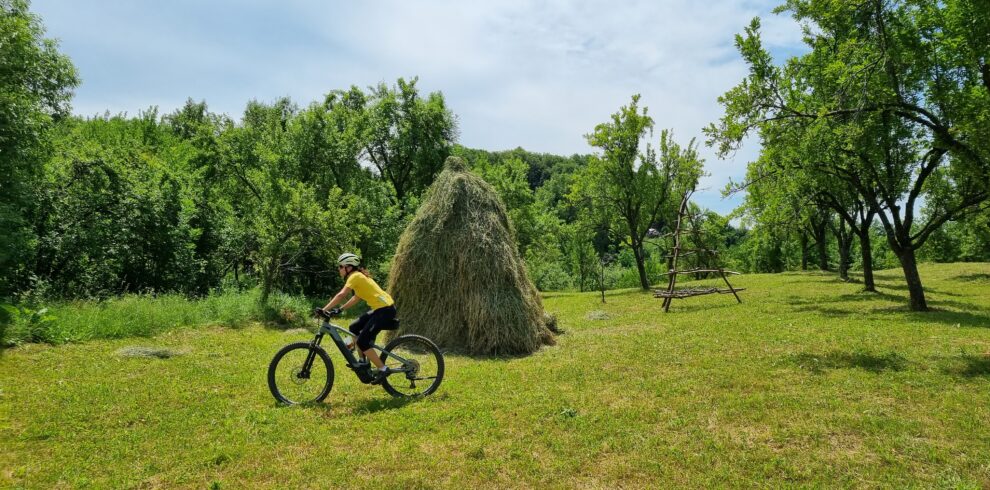 20220623_130009-990x490