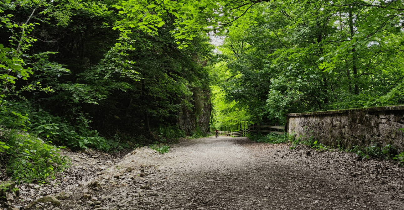Individuell mit dem Fahrrad durch Transsilvanien (mit Gepäck Transport) ab/bis Sibiu
