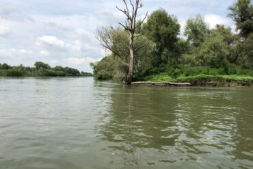 Dobrudscha-Donaudelta-14-370x247