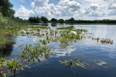 Dobrudscha-Donaudelta-6-370x247