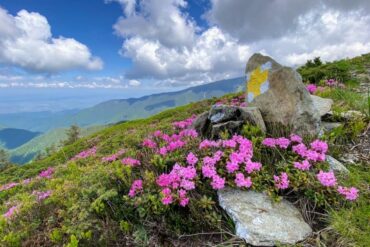 Fagarascher-Gebirge-4-370x247