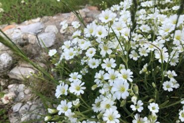 Fahrrad-durch-die-Bucovina-20-370x247