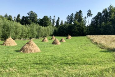 Fahrrad-durch-die-Bucovina-22-370x247