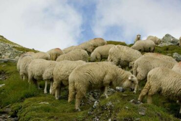 Fahrrad-durch-die-Bucovina-32-370x247