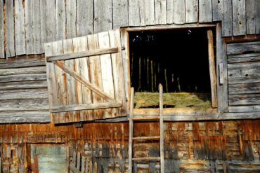 Fahrrad-durch-die-Bucovina-6-370x247