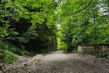 Karpaten-Kultur-Siebenbuergen-6-370x247