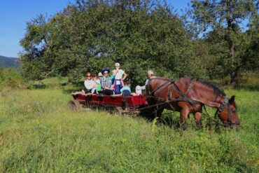 Kulturelle-Rundreise-6-370x247