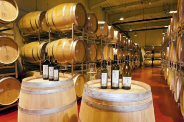 Luxus-Weinreise-6-370x247