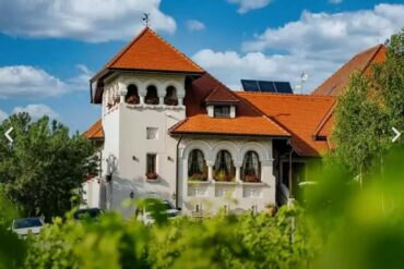 Luxus-Weinreise-9-370x247