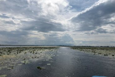 Siebenbuergen-und-Donaudelta-4-370x247