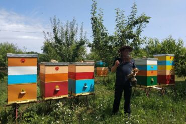 Silvester-in-Moldavien-15-370x247