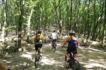 Transsilvanien-per-Fahrrad-5-370x247