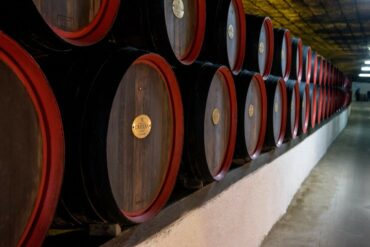 Weinland-Moldawien-14-370x247