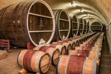 Weinland-Moldawien-32-370x247