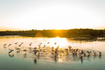 Weinland-Moldawien-5-370x247