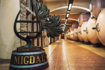 Weinland-Moldawien-6-370x247