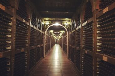 Weinland-Moldawien-7-370x247