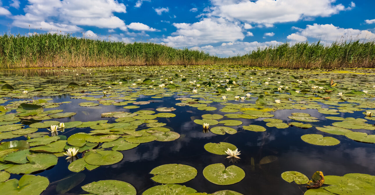 Multiaktive Tour Dobrudscha & Donaudelta
